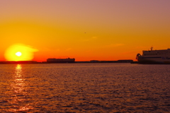 ＣＴＥ　　ｐｏｐ