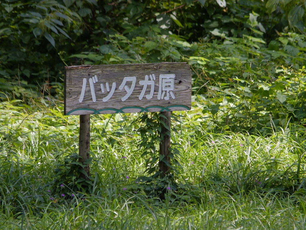 useing xs1