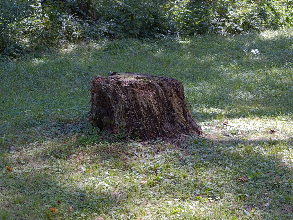 useing xs1