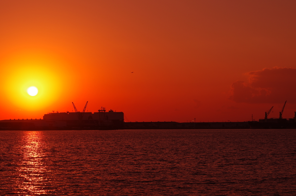 ＣＴＥ　　１６５２