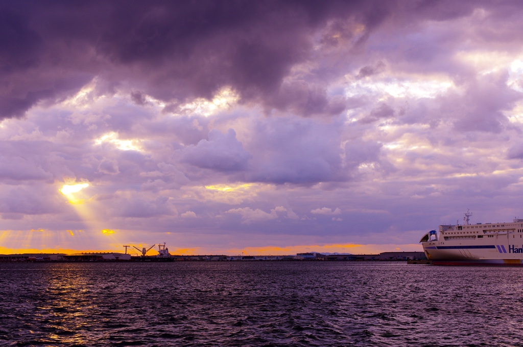 ＣＴＥ　　ｐｏｐ