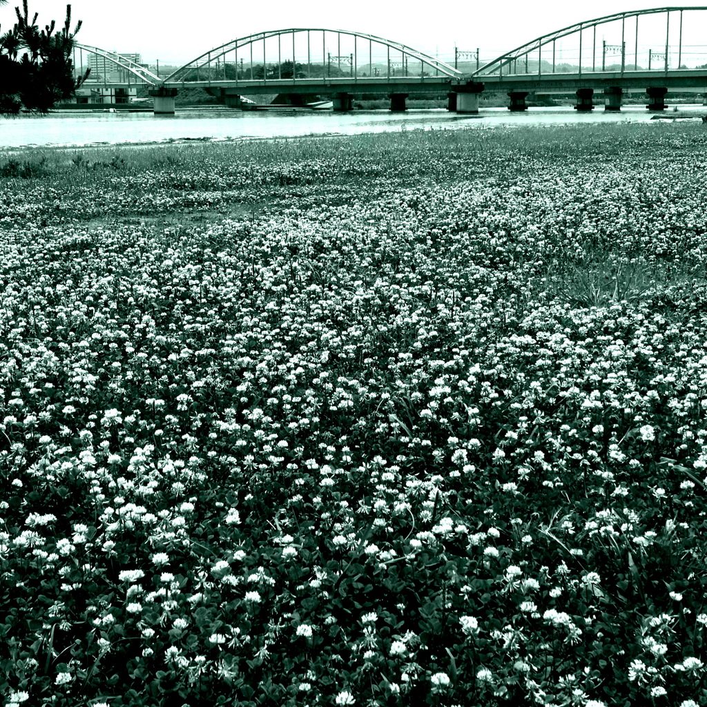R0013336