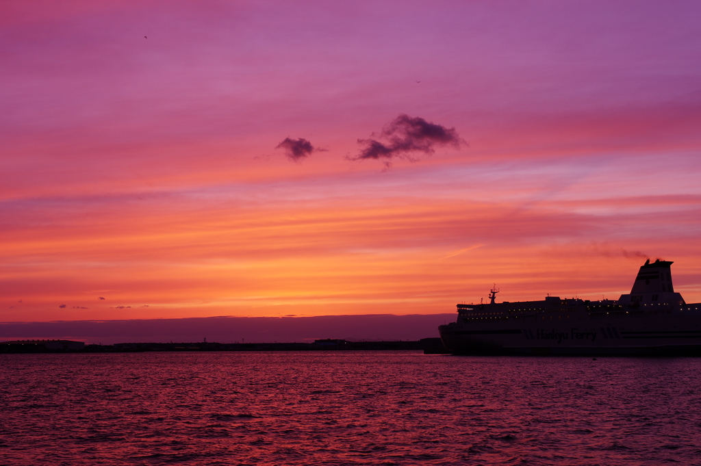 ＣＴＥ　　１7３６