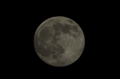 IMGP8825
