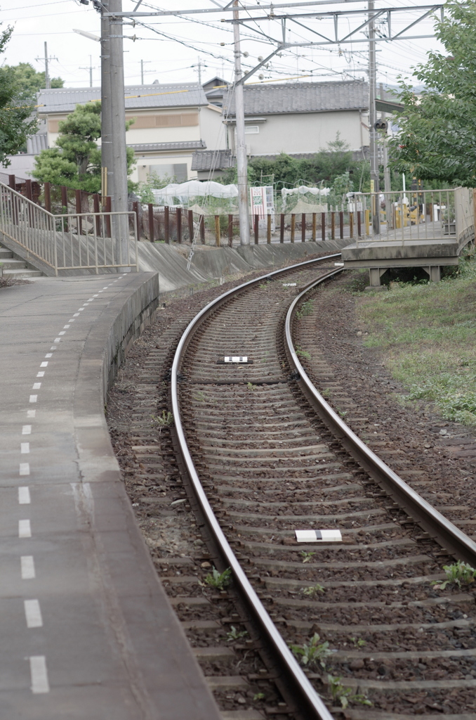 IMGP3819
