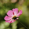 useing@