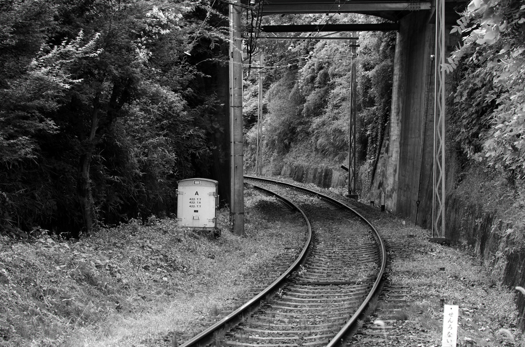 IMGP9352