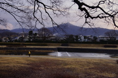 kamogawa