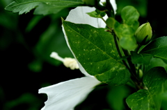 PICT2671
