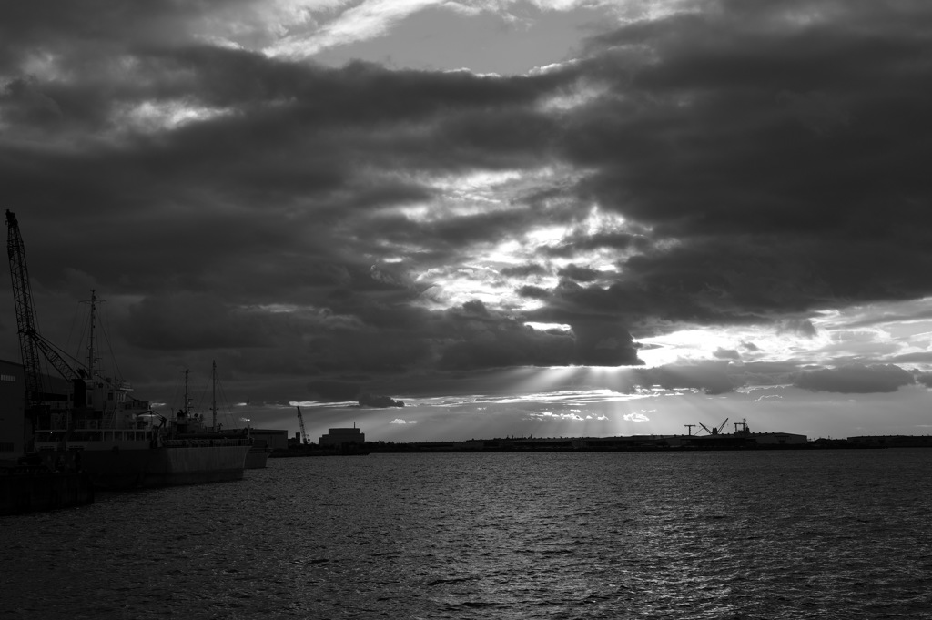 ＢＷ　　１６２９