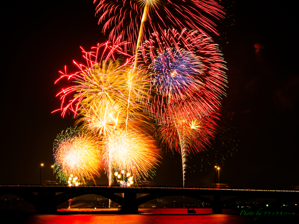 夏夜の彩り〜手賀沼花火大会2015＃3