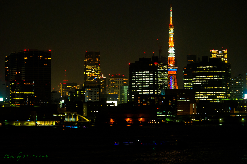 ベイエリア夜景..