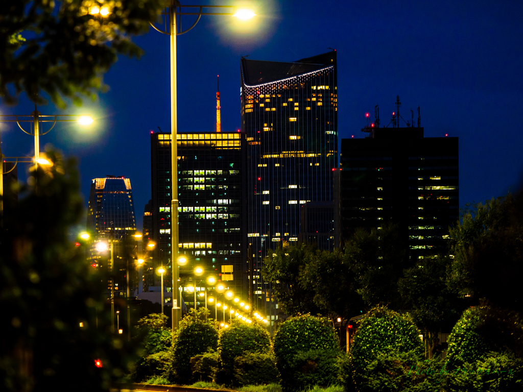 東京夜景〜連なる街灯