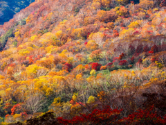 秋彩の山肌..