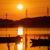 夕陽とシラサギ..