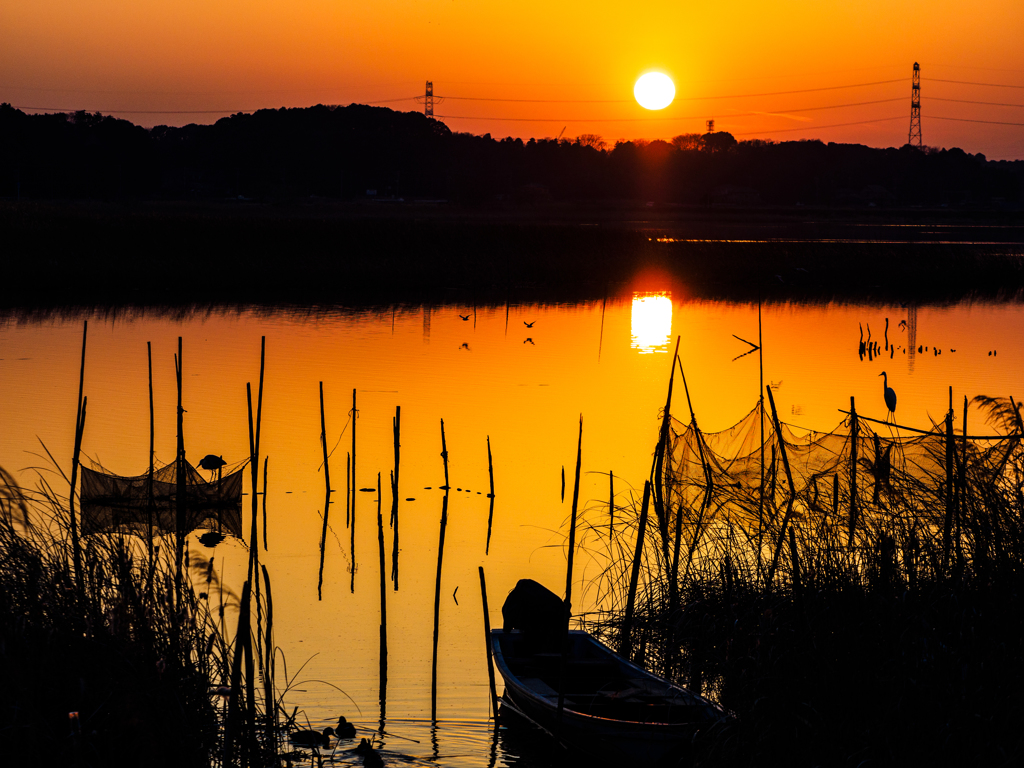 鳥たちの夕暮れ..