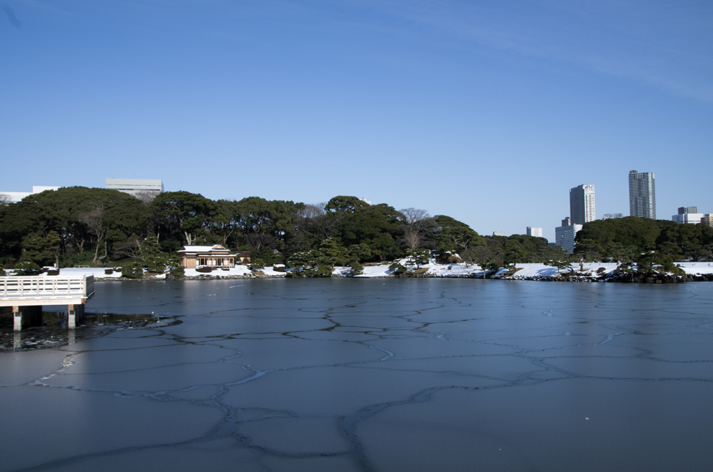 雪の浜離宮庭園⑥