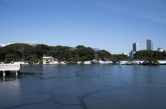 雪の浜離宮庭園⑥