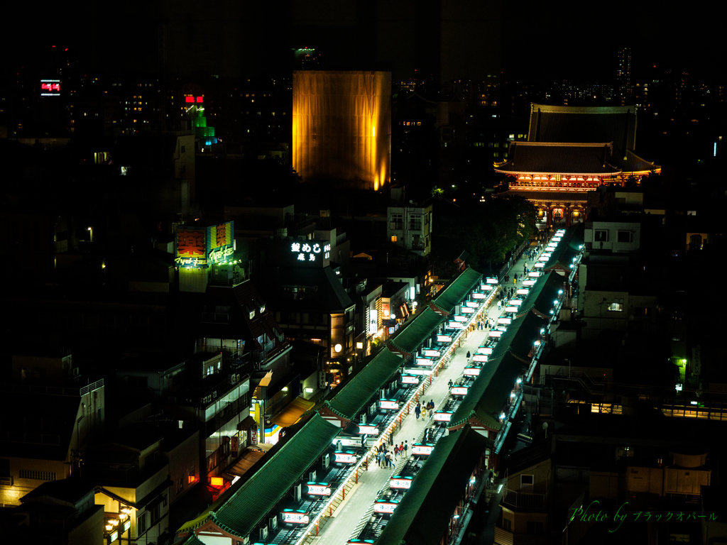 光の参道