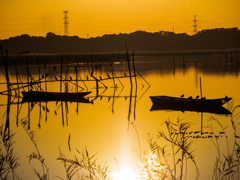 夕照の手賀沼..
