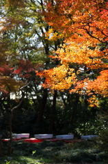 紅葉の六義園にて⑦