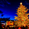 夕空に煌めくツリー..
