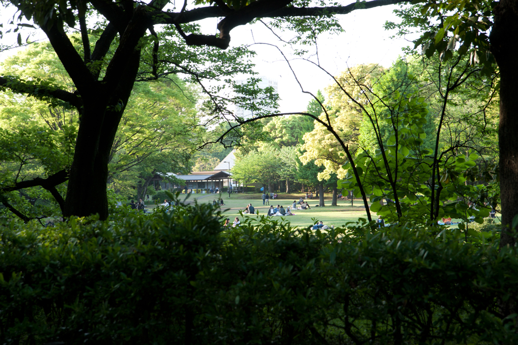 穏やかな公園の休日