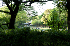 穏やかな公園の休日