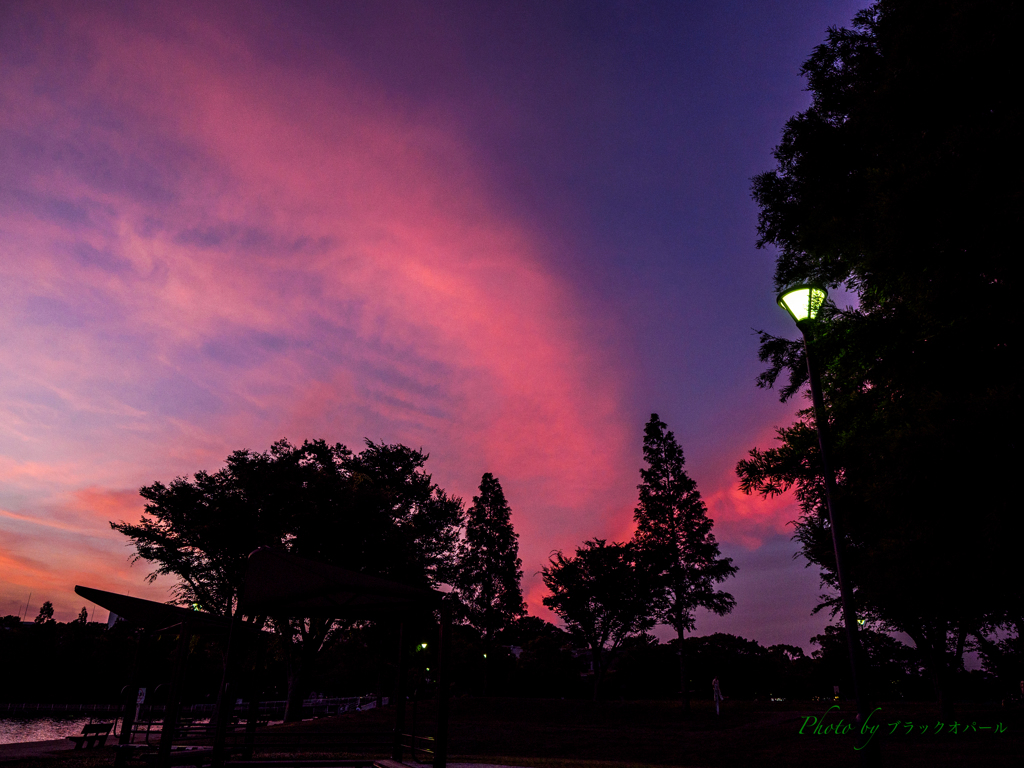 公園の茜雲..