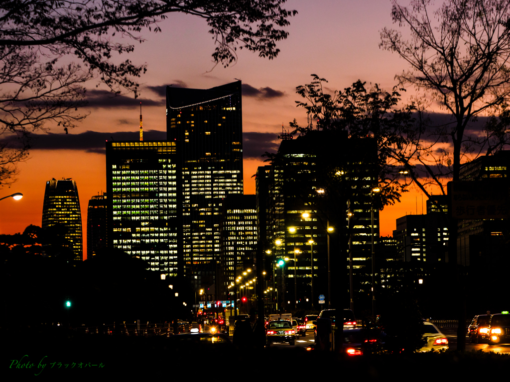 黄昏の街-Tokyo by ブラックオパール （ID：5099721） - 写真共有