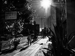 夏の午後..#1 夏の午後..#1