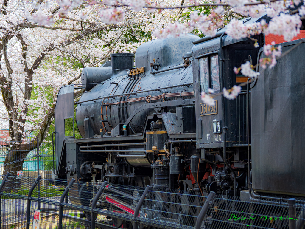 桜咲く公園のデゴイチ..