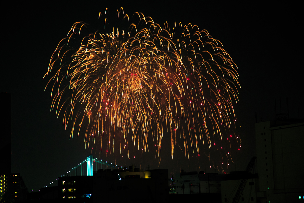 東京湾花火大会 Ⅳ