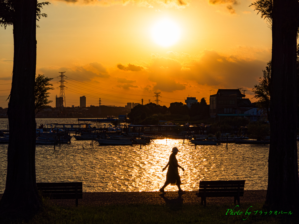 晩夏の輝き..