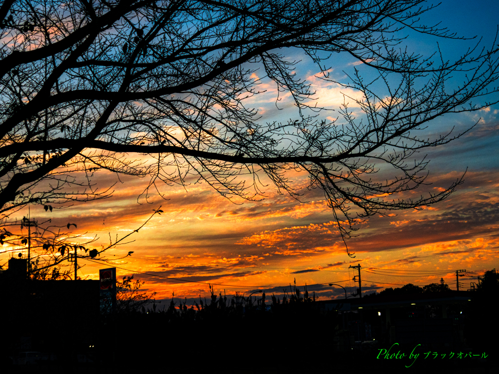 秋の夕暮れ風景..