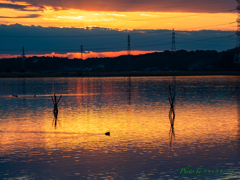 夕照の水面..