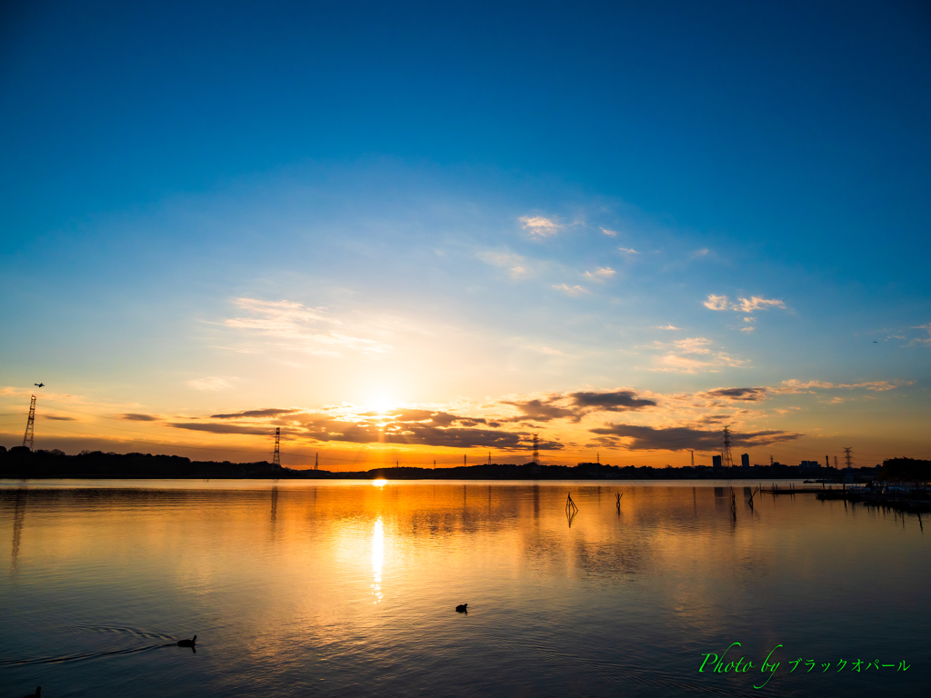 煌めく夕暮れ..