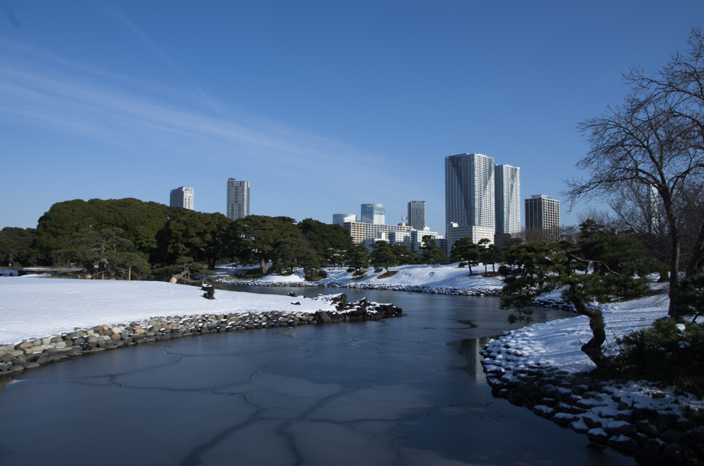 雪の浜離宮庭園⑬