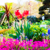 春彩の花壇..