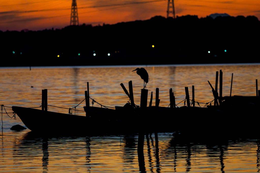 夕暮れの手賀沼風景..＃15