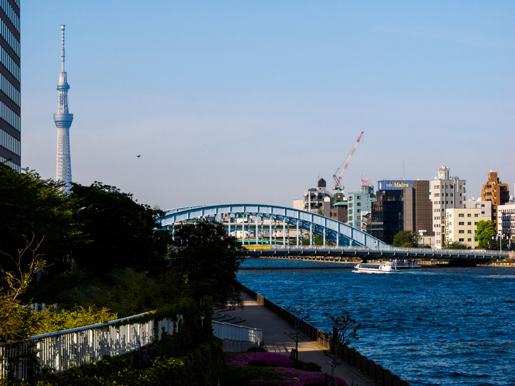 春〜水辺の風景＃9