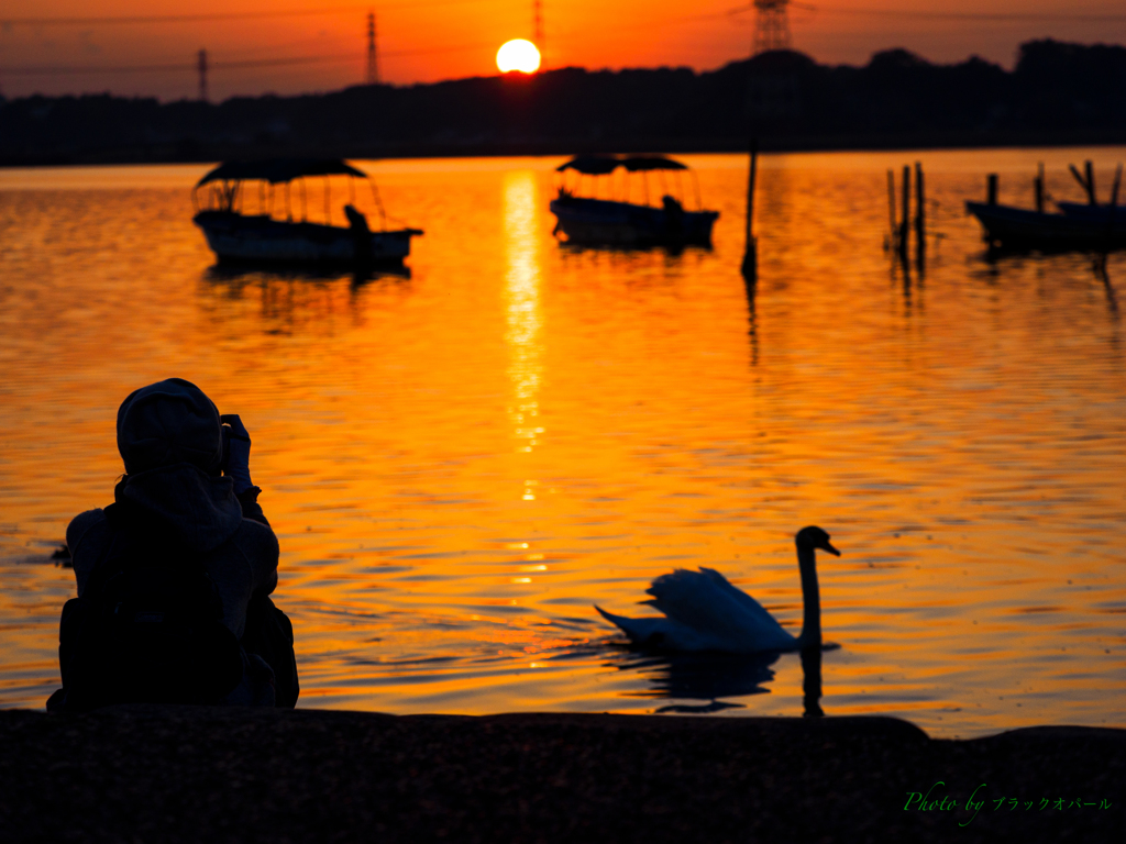 夕日に魅せられて..