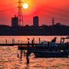 夕陽と白鷺..