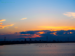 穏やかに暮れゆく手賀沼風景..