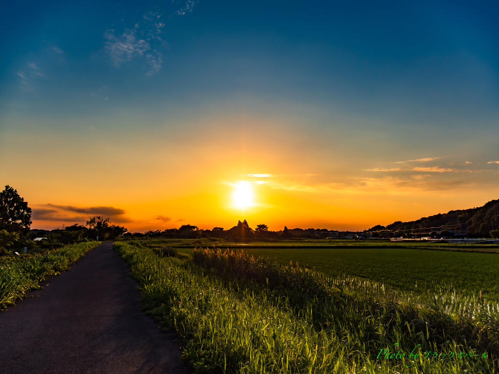 夕陽に輝く..