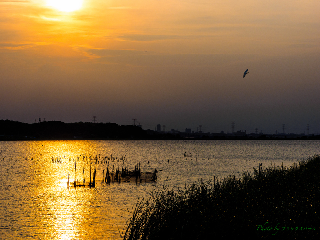 朧夕日の手賀沼..