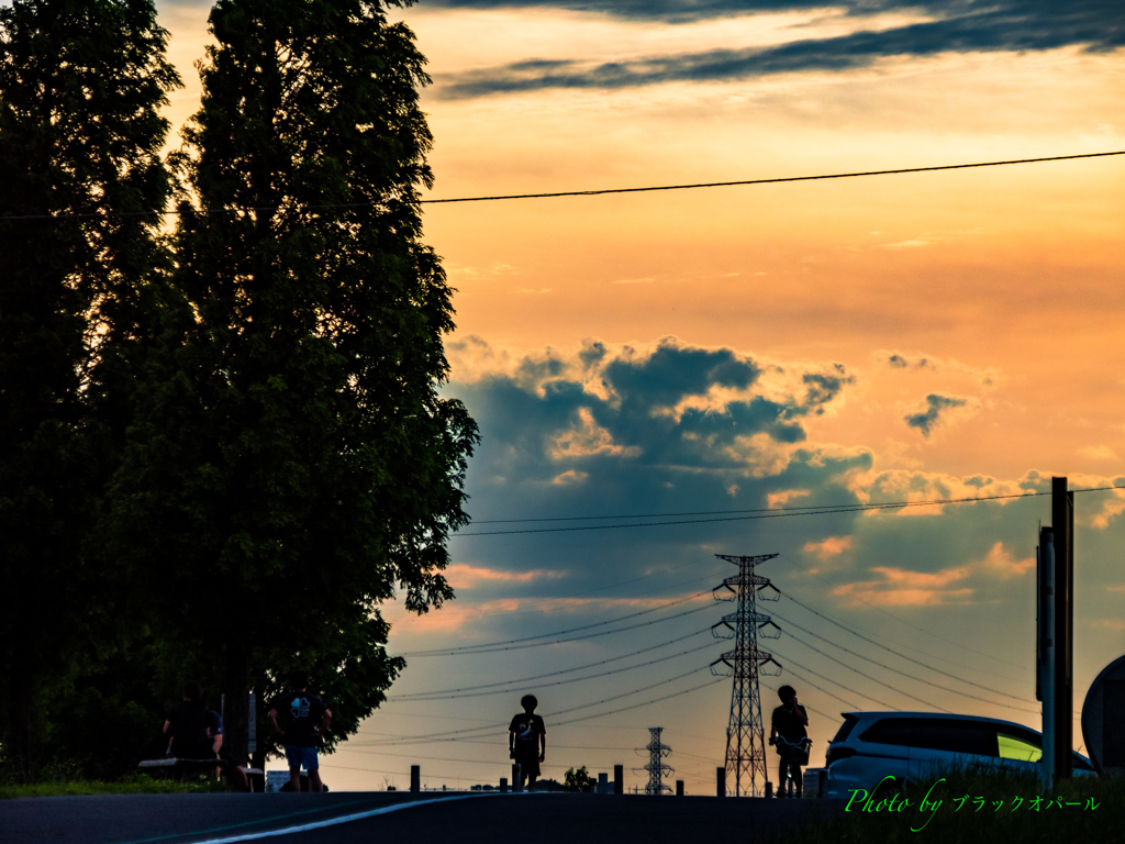 遊歩道の夕暮れ..