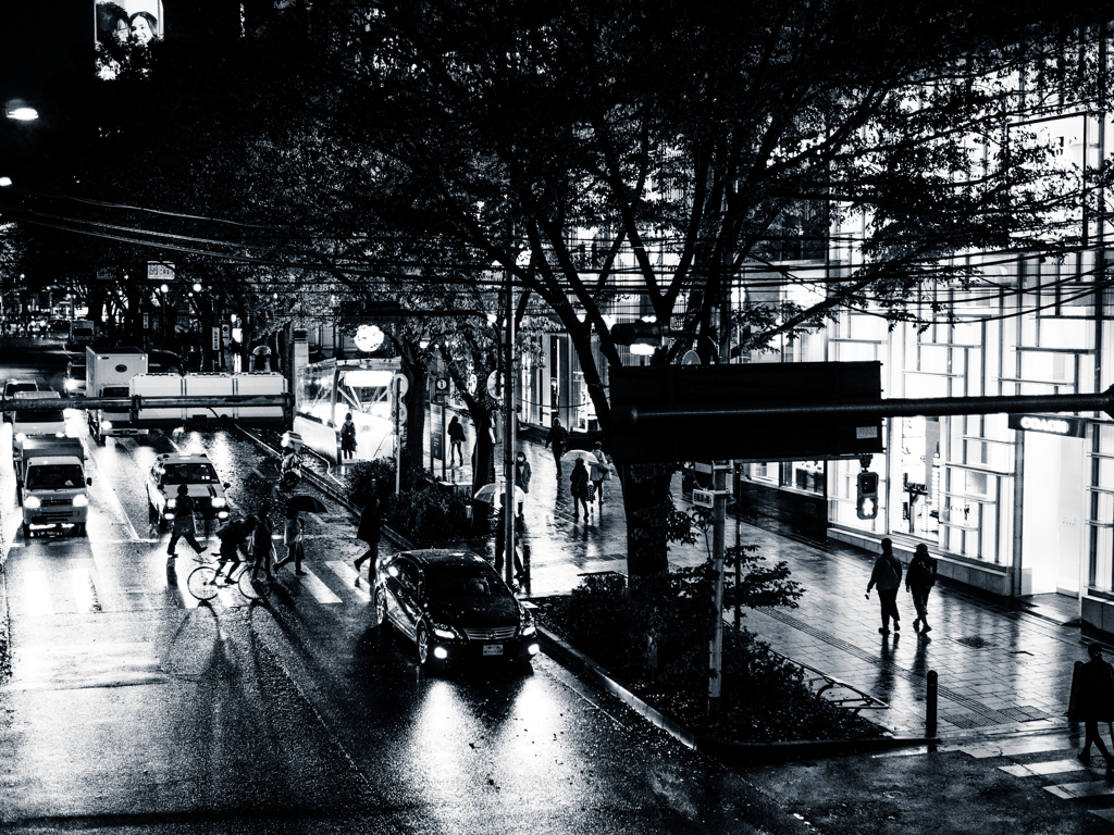 小雨の表参道..＃8