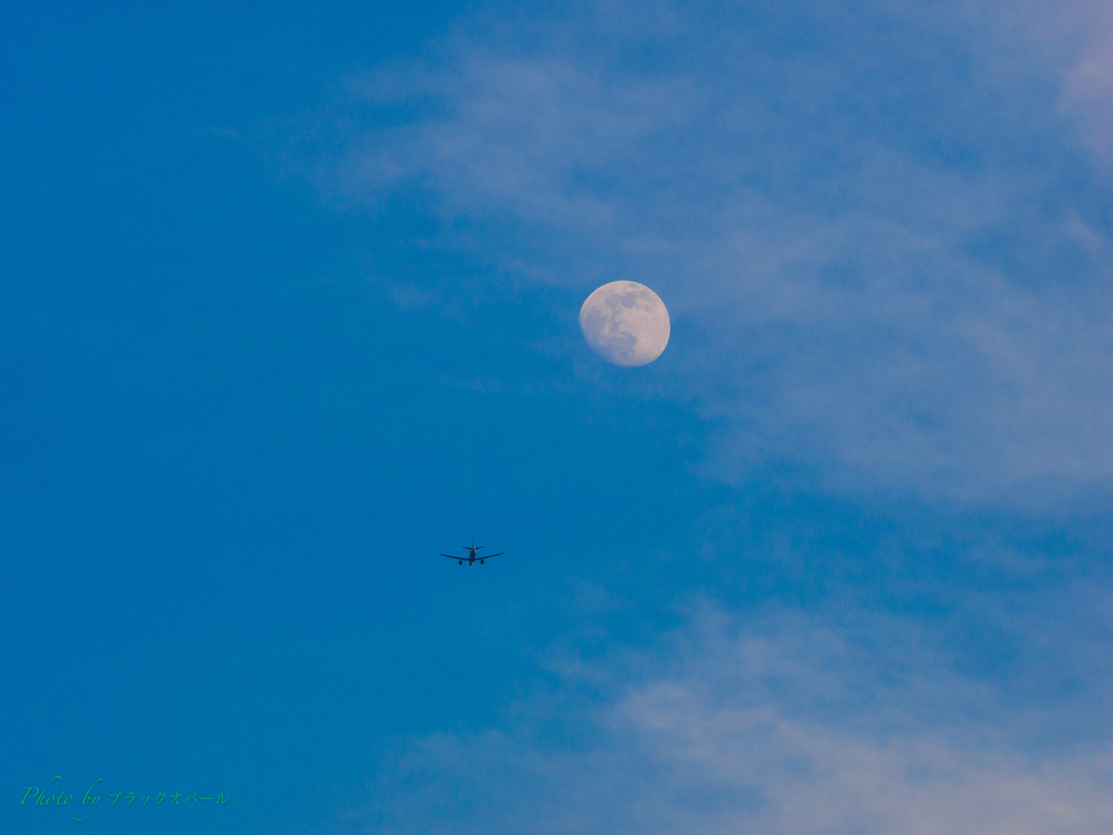 Fly me to the Moon.