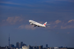 赤い鶴、大空へ！